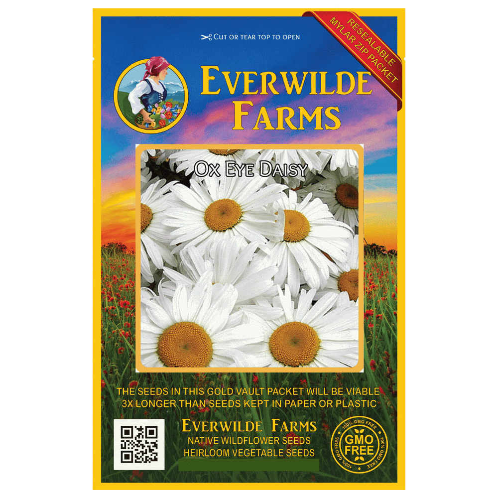 Everwilde Farms 2000 Ox Eye Daisy Garden Flower Seeds Gold Vault