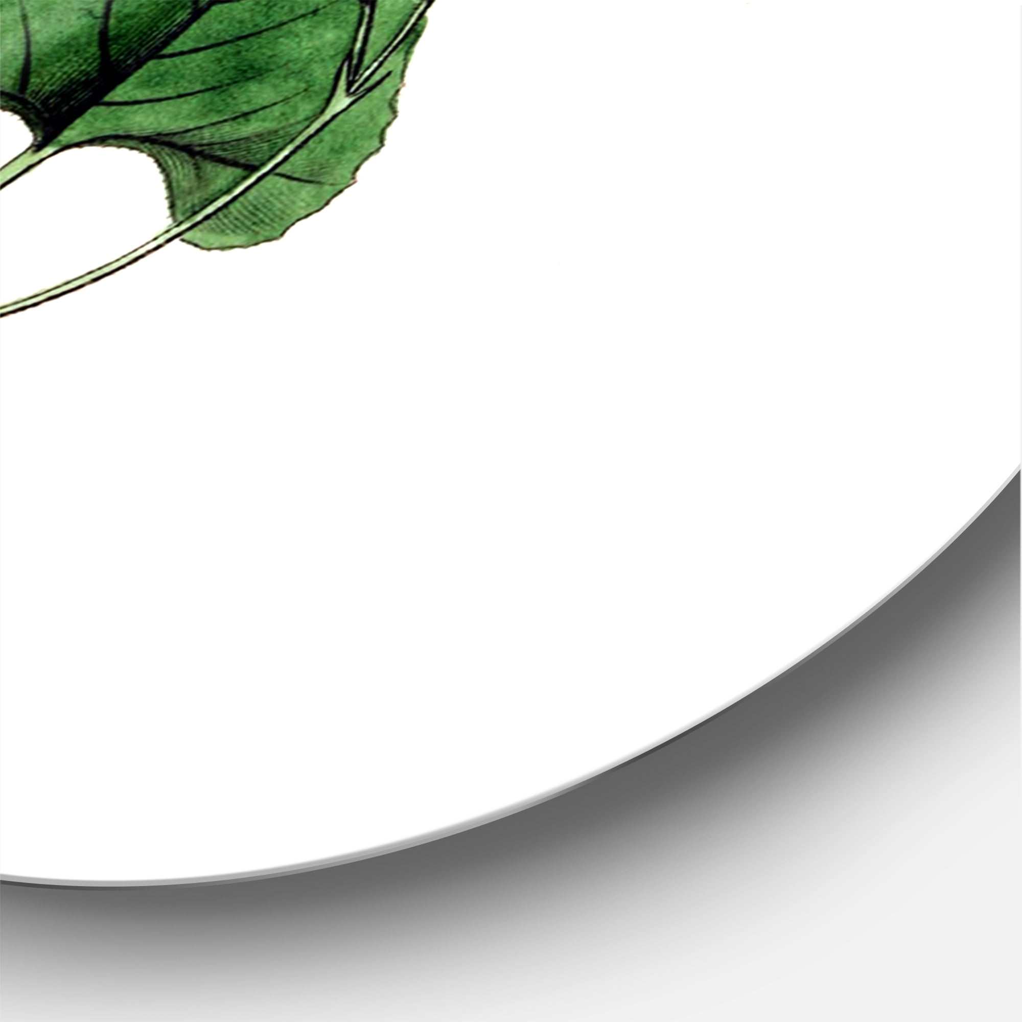 Designart 'Ancient Green Leaves Plants IX' Traditional Circle Metal Wall Art 23x23 - Disc of 23
