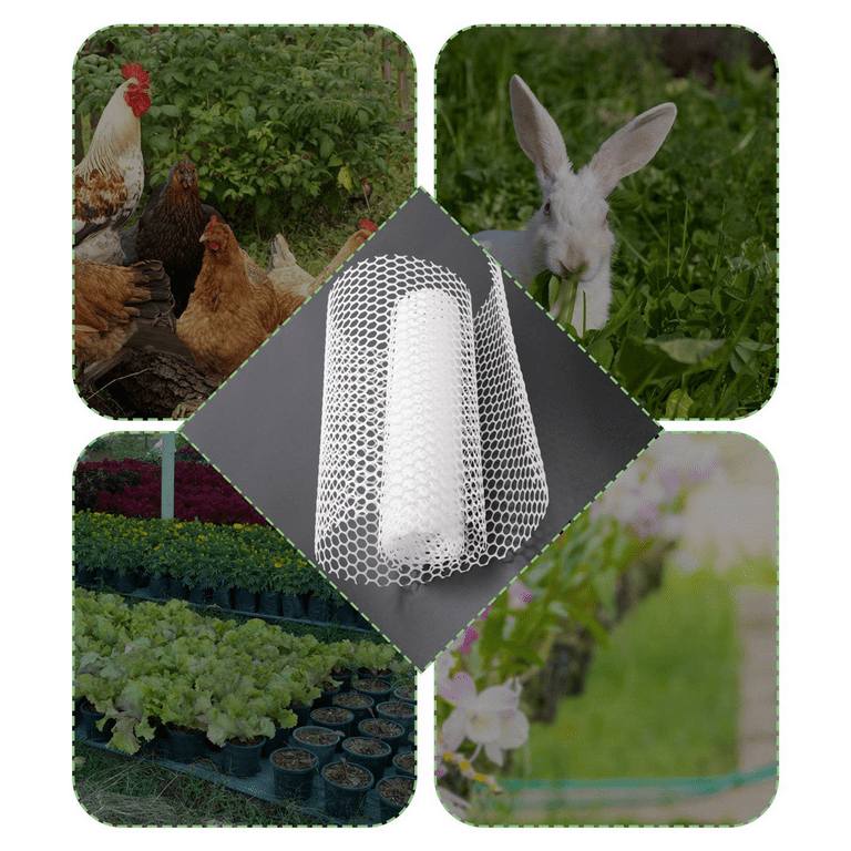 Reusable Plastic Chicken Wire Fence Mesh Lightweight Durable Hexagonal Mesh  Reusable Plastic Chicken Wire Fence Mesh Home Garden Courtyard Reusable  Plastic Lightweight Durable White 40*300cm 