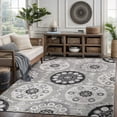 thumbnail image 3 of CAMILSON Spring Bohemian Medallion Floral Easy-Cleaning Non-Shedding Washable Outdoor Indoor Area Rug Gray 6x9, 3 of 11