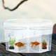 thumbnail image 2 of EeaseMX Caja de criador de peces Divisor de acuario Tanque Cambio de pescado Guppy Cayaso de payaso Caja de reproducción, 2 of 7