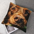 thumbnail image 7 of nygtbtfer Funny Swimming Dog Print Throw Pillow Covers Soft Corduroy Pillowcase Decorative Cushion Cover Modern Square Cushion Cases for Living Room Bed Sofa Bedroom Pillow Included White, 7 of 7