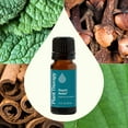 thumbnail image 3 of Plant Therapy Rapid Relief Essential Oil Blend 10 mL (1/3 oz) Pain and Soreness Blend 100% Pure, Undiluted, Natural Aromatherapy, Therapeutic Grade, 3 of 8