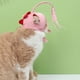 thumbnail image 2 of Tocado de pesca para gatos, juguete interactivo, suave, bonito sombrero, juguete rompecabezas para gatitos con colgante reemplazable, dinosaurio rosa, 2 of 5