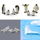 thumbnail image 4 of Accesorios de decoración para el hogar, 4 unidades, pingüino de Navidad, vaca, cerdo, conejo, ardilla, gato, sello, perro, modelo de Animal, jardín de hadas en miniatura, 4 of 4