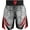 Red, variant on Muay Thai Trunks Martial Arts Sports Boxing Red XL