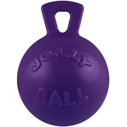 Jolly Pets Tug-n-Toss Heavy Duty Dog Toy Ball with Handle, 6 Inches/Medium, Purple
