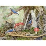 BOXED NOTE CARDS, FAIRY GARDEN