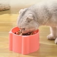 thumbnail image 7 of Elevated Slow Feeder Cat Bowl - Raised Bowl for Cats and Dogs Ideal for Dry and Wet Food Feeding, 7 of 7
