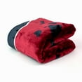 thumbnail image 3 of College Covers South Carolina Gamecocks Huge Raschel Throw Blanket, Bedspread, 86" x 63", 3 of 5