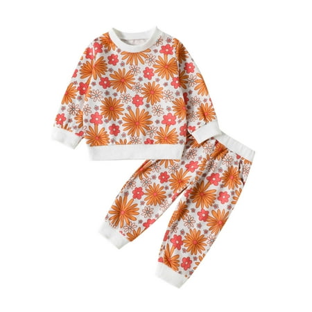 

Baby Girls Outfit Sets Long Sleeve Floral Prints T Shirt Pullover Tops And Pants Outfit 2 Piece Sizes 18-24 Months