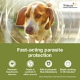 thumbnail image 6 of Trifexis Heartworm Prevention | Treats & Controls Flea Infestations + 4 Other Worms | Dogs 10.1-20 lbs., 6 of 19