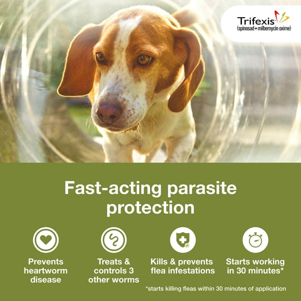 Trifexis Chewable Heart And Flea Medicine For Dogs Trifexis