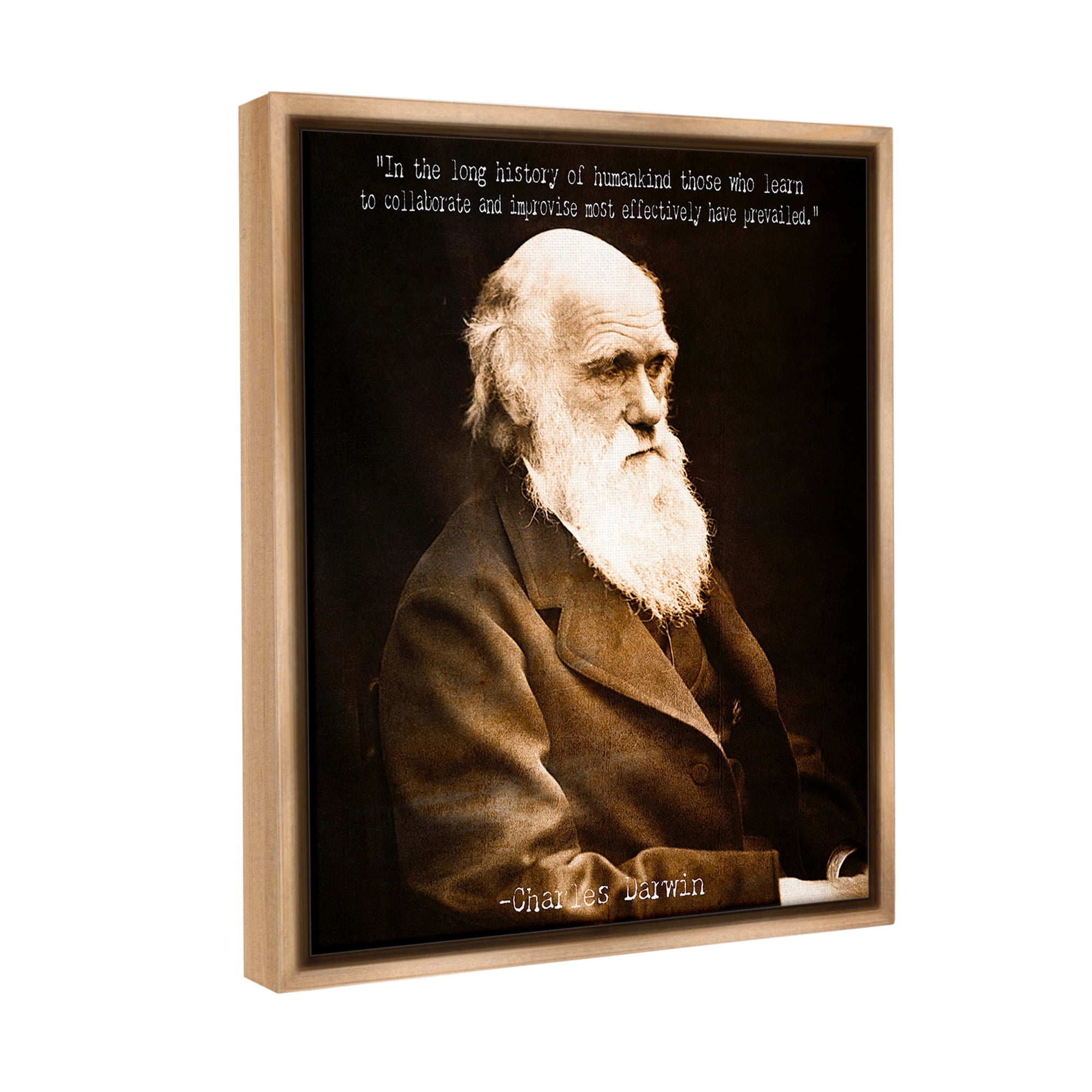 Stupell Industries Inspiring Darwin Quote Inspirational Painting Brown Floater Framed Canvas Art Print Wall Art, 25 x 31
