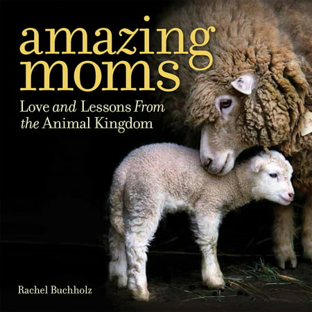 Amazing Moms : Love and Lessons From the Animal (Best Moms In The Animal Kingdom)