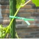 AIHOME 200PCS/Pack Plante Twist Cravate Fleur Branche Fixation Multi-Fonctionnel Vert Plastifié Fil de Formation de Jardin – image 5 sur 9