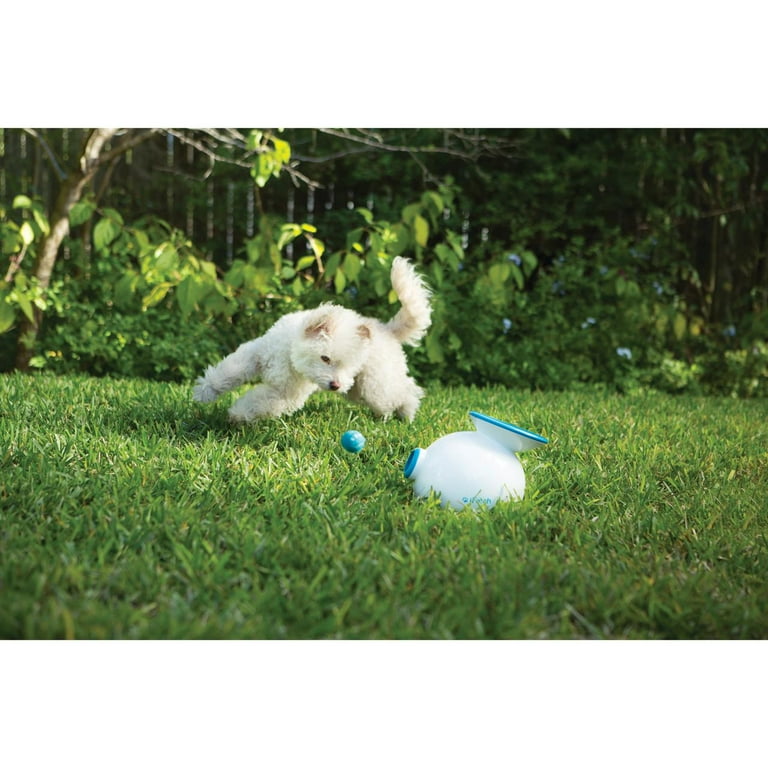 iFetch Interactive Ball Launcher for Dogs