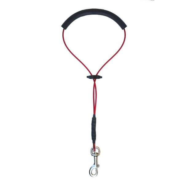 Small Medium Heavy Duty Dog Grooming Loop Cable Restraint Holder Noose By Downtown Pet Supply Walmart Com Walmart Com