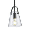 thumbnail image 2 of Trans Globe Lighting Pnd-2174 Curry 6" Wide Mini Pendant - Black, 2 of 7