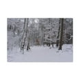 thumbnail image 3 of Forest Winter Tree Snow Nature Wilderness Photography Canvas Wall Art for Home Decor Ready-to-Hang, 3 of 18