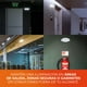 thumbnail image 4 of Lámpara de Pared de Emergencia Sobreponer 4W Luz Día Tecnolite, 4 of 5