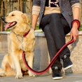 thumbnail image 4 of Pet Rope Dog Leash For Unbeatable Strength, Heavy-Duty Material With Snap Swivel Hook, Training Leash Ensures Safe, Tangle-Free Walking, 4 of 5