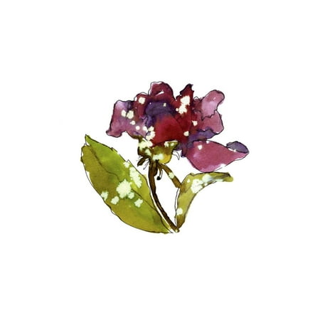 - Marsala Rose Print Wall Art By Cayena Blanca