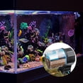 thumbnail image 4 of Homoyoyo 1Jgo Alimentador Para Peces Azul Con De Comida Ajustables Y Funcionamiento Automático, 4 of 6