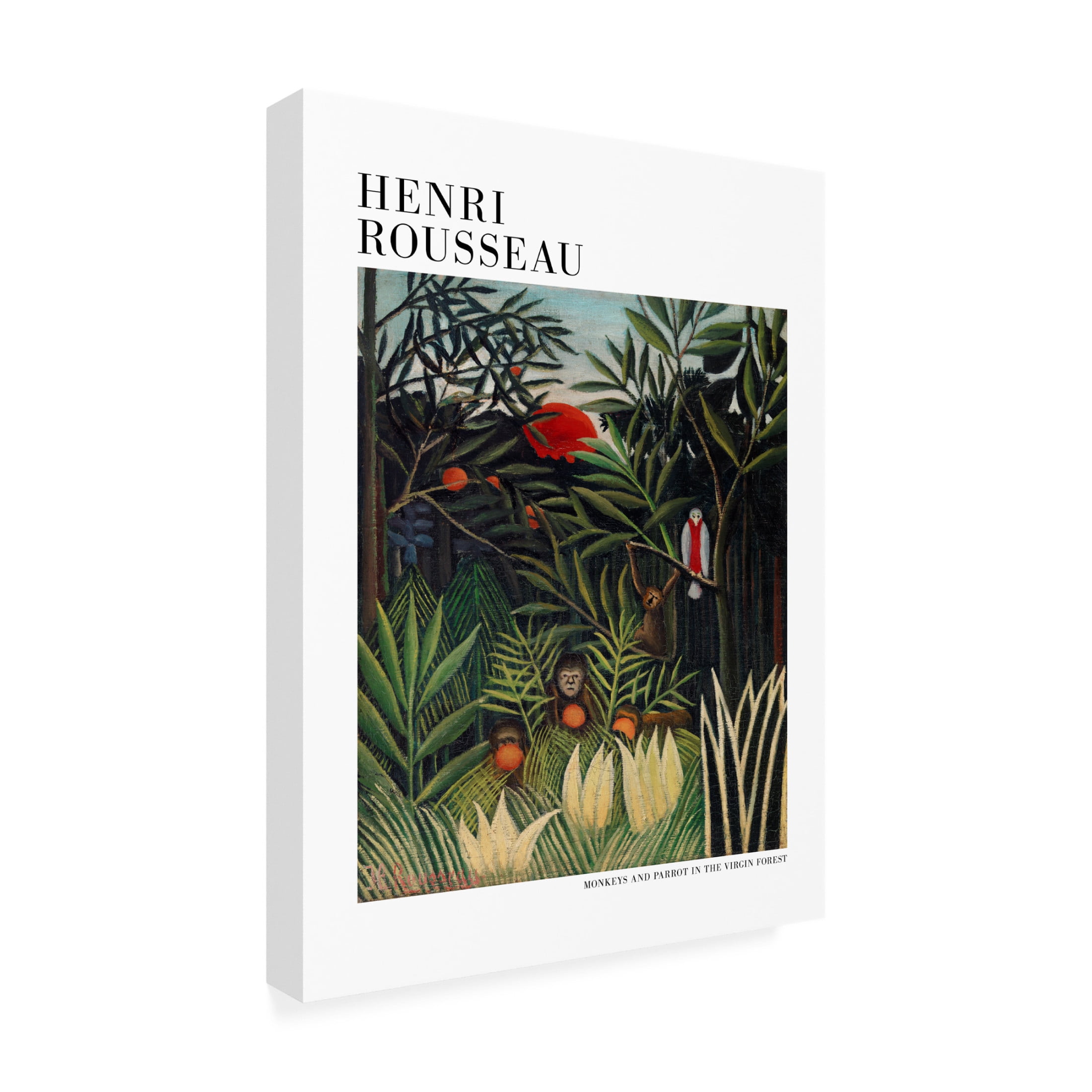 Trademark Fine Art Pictufy Monkeys And Parrot In The Virgin Forest Canvas Wall Art
