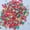 Clear, variant on PPgejGEK Stocking Stuffers for Kids Fruit Slices SoftScented Stress Relief Toy Sludge Toys for Slime up to 65% off