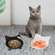 thumbnail image 4 of 2 cuencos para gatos, cuencos antideslizantes para comida para gatos, cuenco para mascotas, cuenco de agua poco profundo para aliviar el estrés de la fatiga, cuenco para perros y gatos, cuen, 4 of 5