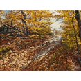 thumbnail image 3 of Ziman, Peter 14x11 Black Modern Framed Museum Art Print Titled - Autumn Still Life, 3 of 5