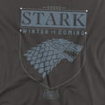 thumbnail image 2 of Game of Thrones House Stark Sigil Unisex Adult T-Shirt, Charcoal, Large, 2 of 6