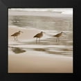 thumbnail image 2 of Delimont, Danita 12x12 Black Modern Framed Museum Art Print Titled - Shore Birds II, 2 of 5