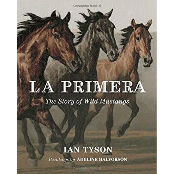 La Primera : The Story of Wild Mustangs 9780887768637 Used / Pre-owned