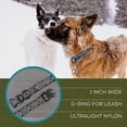 thumbnail image 4 of Wilderdog Ultralight Collar Series for Dogs - Small - Lilac, 4 of 6