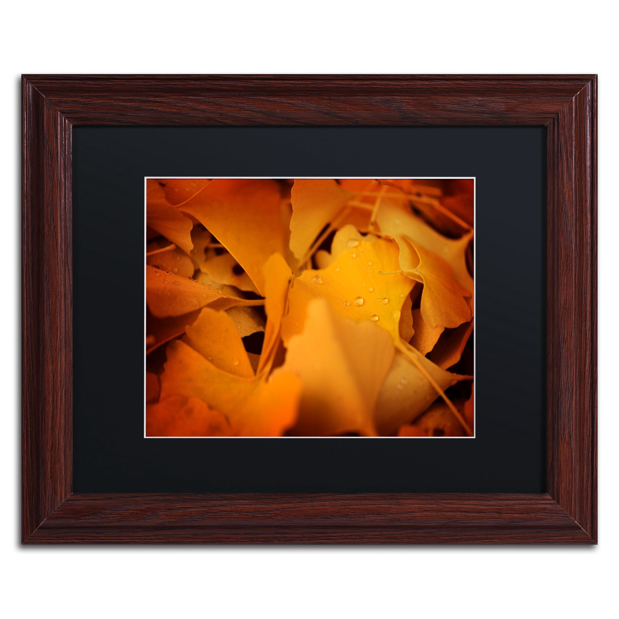 Trademark Fine Art "Divine Pearls" Canvas Art by Philippe Sainte-Laudy Black Matte, Wood Frame