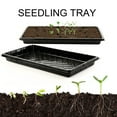 thumbnail image 5 of Lomaiwei Deep-Cell Seed Trays with Water Reservoir - Heavy-Duty Nursery Planters for Vegetables, Herbs, Flowers Holes Design Optimized for Moisture Retention, 5 of 6