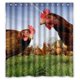 thumbnail image 1 of ABPHQTO Cortina de ducha de pollo divertido Cortina de ducha impermeable 160x180 cm, 1 of 2