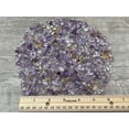 thumbnail image 4 of WHOLESALE Natural Semi Tumbled Ametrine Gemstone Chips, Crushed Mini Crystals, Undrilled (Ametrine, 10 Pounds), 4 of 4