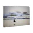 thumbnail image 4 of Stupell Industries Flying Low over Shore Landscape & Nature Photography Wrapped Canvas Art Print Wall Art, 36 x 24, 4 of 8