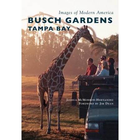 Busch Gardens Tampa Bay (Best Time To Go To Busch Gardens Tampa)