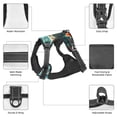 thumbnail image 3 of Naloa Underwater Swimming Guinea Pig Pet Harness Vest with Traction Rope, Adjustable No-Choke Dog Vest for Outdoor, Walking - Medium, 3 of 4