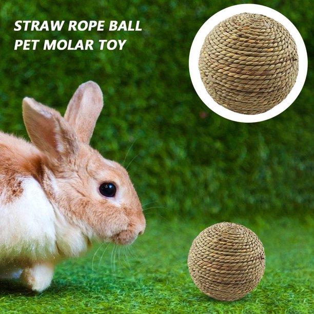 Juguete para Mascota Conejos, juguetes de paja de ratán, golosinas para conejitos, juguetes divertidos para ardilla, Chinchilla Likrtyny Para estrenar