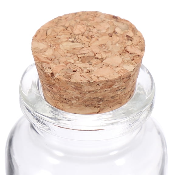 Zcyifa 25ml Transparent Glass Vials with Cork Stoppers Mini Glass Bottles 12 Pack