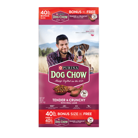 Purina Dog Chow Tender & Crunchy with Real Lamb Adult Dry Dog Food - 40 lb. (Best Dog Food For Older Dogs)