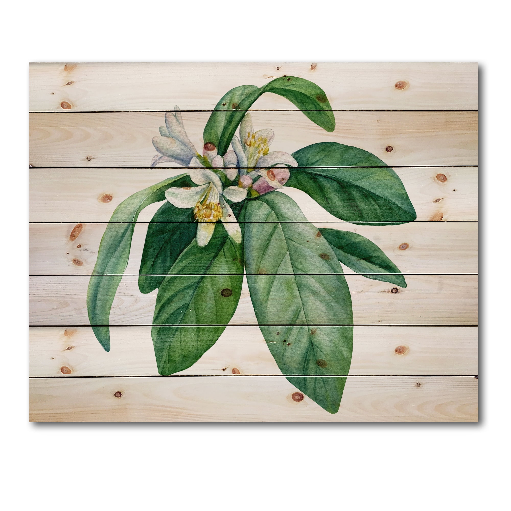 Designart 'Flowering Mandarin With Branch' Traditional Print on Natural Pine Wood