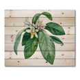 thumbnail image 3 of Designart 'Flowering Mandarin With Branch' Traditional Print on Natural Pine Wood, 3 of 5