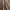 TAUPE, variant on Mainstays Rustic Designs Terracotta Dream Fiona Stripe Cotton Blend Jacquard Knit Tapestry Throw, 50" x 60"