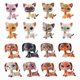 thumbnail image 2 of LPS-tienda de mascotas de PVC para niños, juguetes en polvo, gato grande, perro Dan, animal pequeño, acción de pie, regalo de Navidad qym unisex, 2 of 2